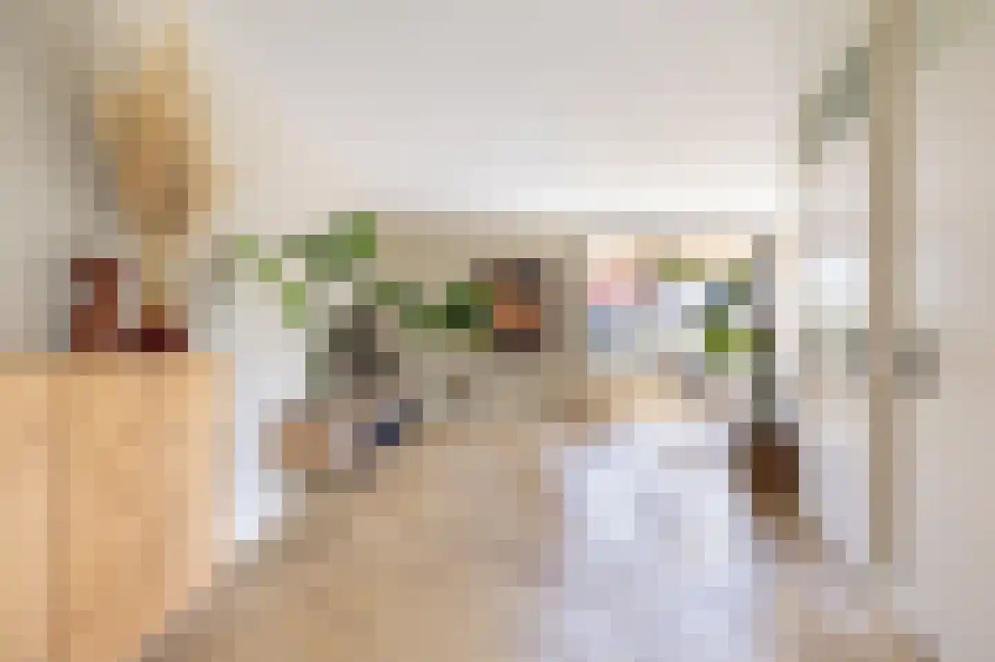Sterappel 14 St.-Annaparochie thumbnail 17