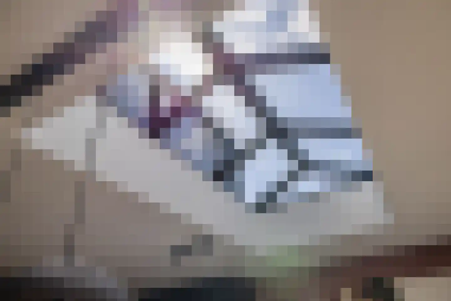 Sterappel 14 St.-Annaparochie thumbnail 32