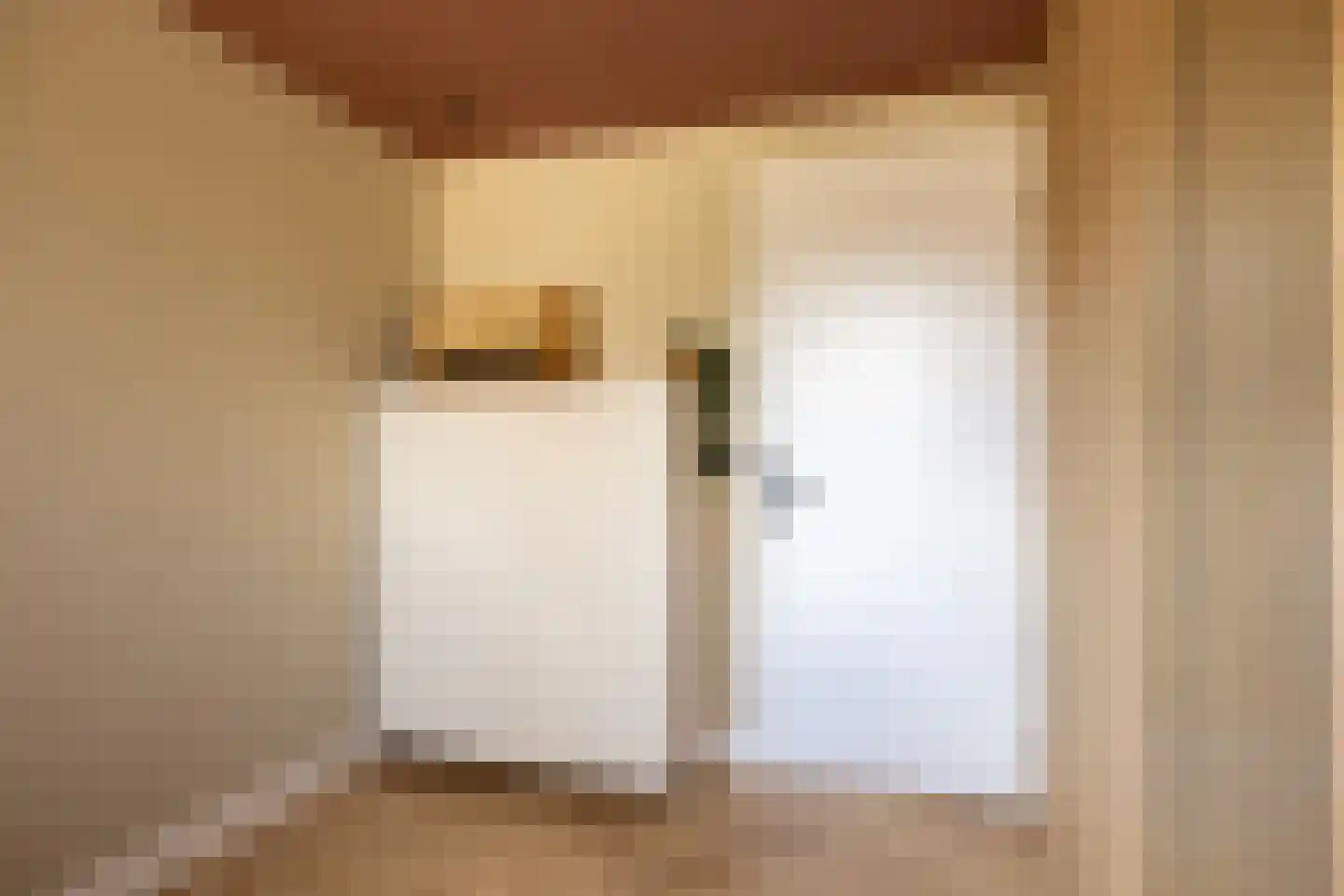 Sterappel 14 St.-Annaparochie thumbnail 42