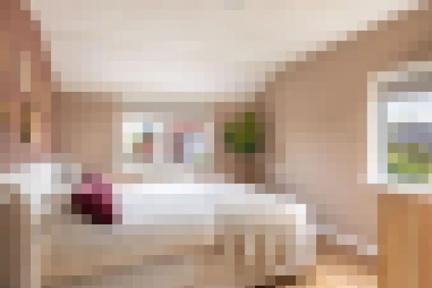 Sterappel 14 St.-Annaparochie thumbnail 45