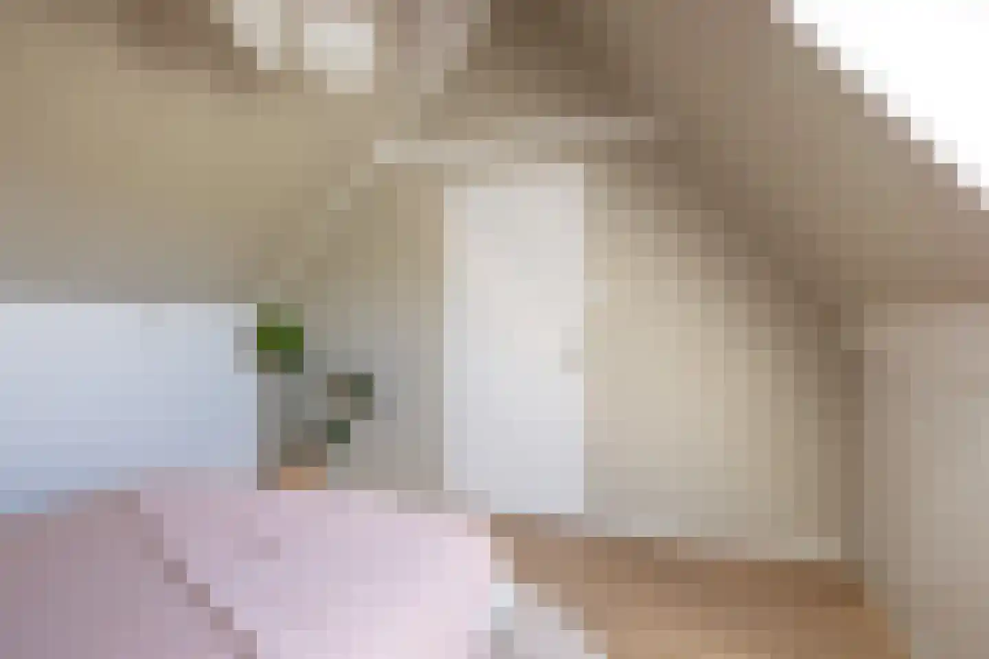 Sterappel 14 St.-Annaparochie thumbnail 58