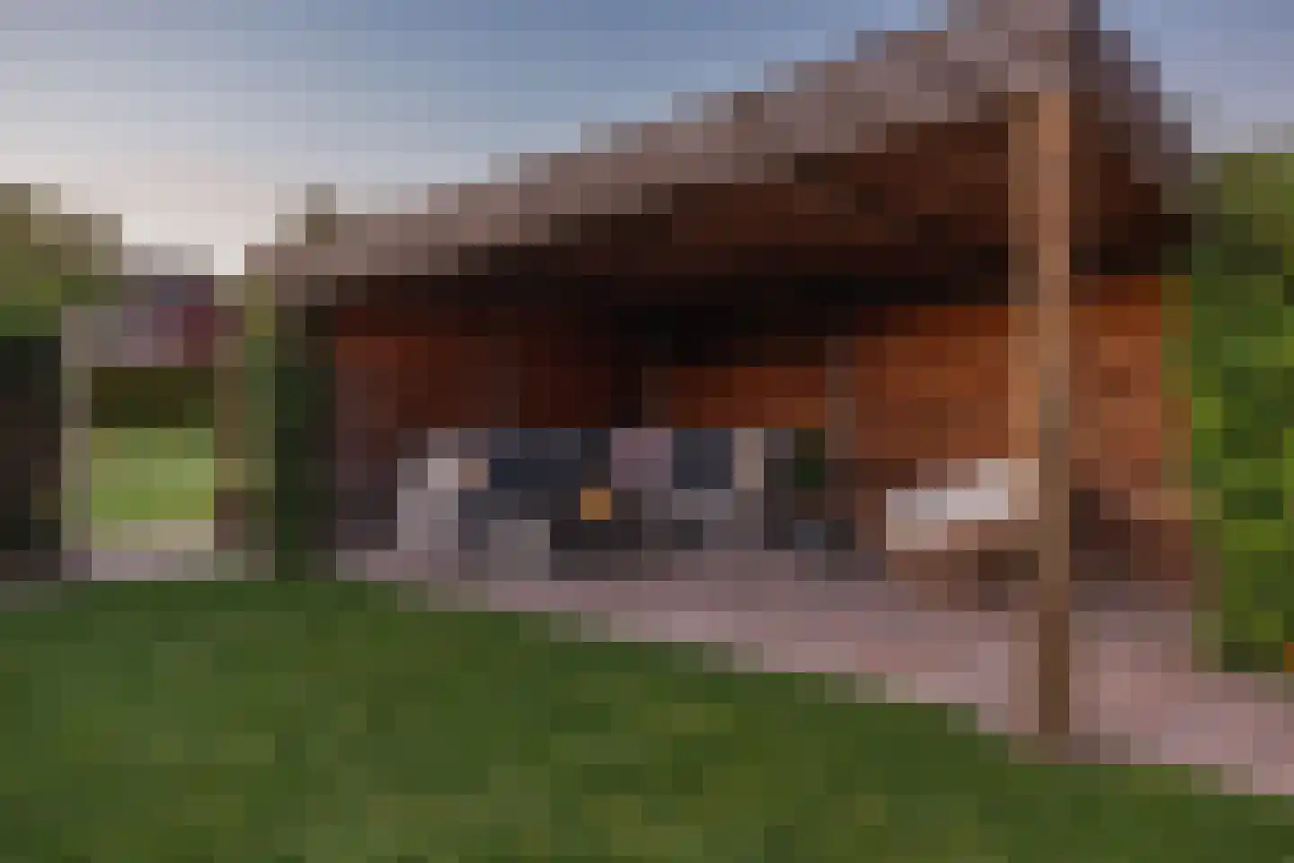 Sterappel 14 St.-Annaparochie thumbnail 64