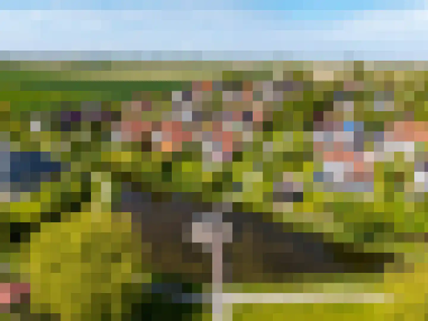 Sterappel 14 St.-Annaparochie thumbnail 70