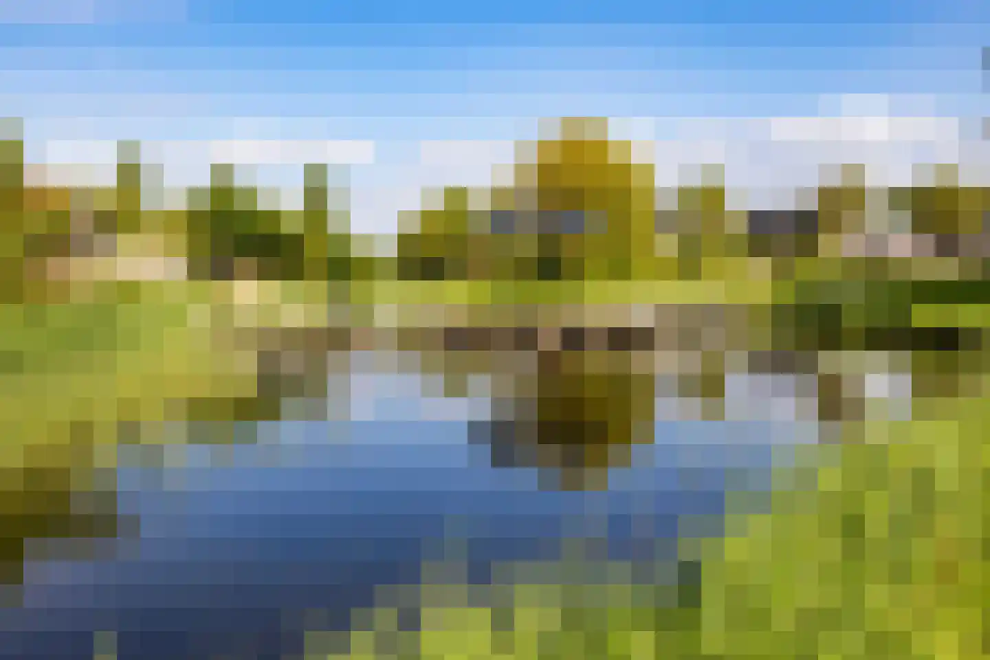 Sterappel 14 St.-Annaparochie thumbnail 73