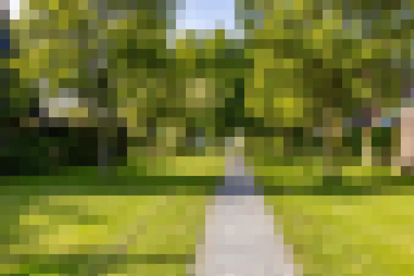 Sterappel 14 St.-Annaparochie thumbnail 74