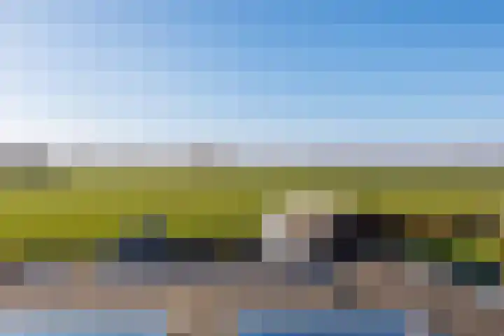 Sterappel 18 Alphen thumbnail 22
