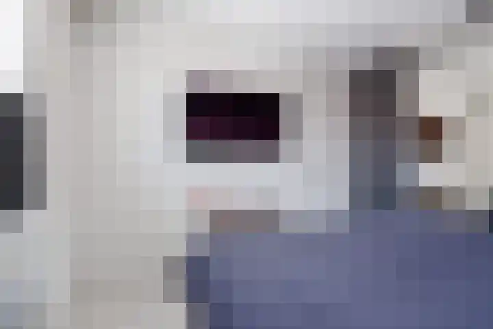 Sterappel 18 Alphen thumbnail 24