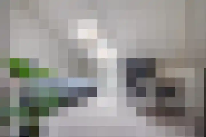 Sterappel 18 Alphen thumbnail 37