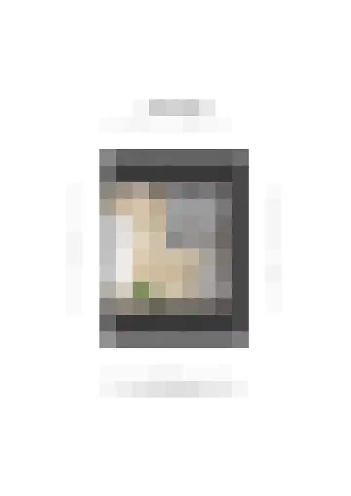 Sterappel 18 Alphen thumbnail 58