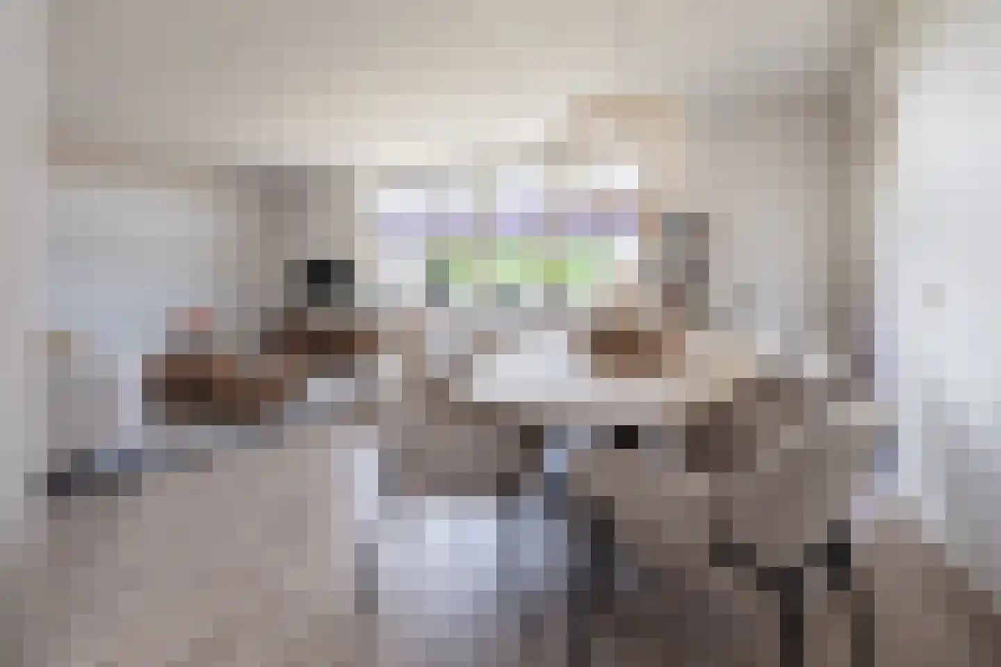 Sterappel 18 Barneveld thumbnail 10