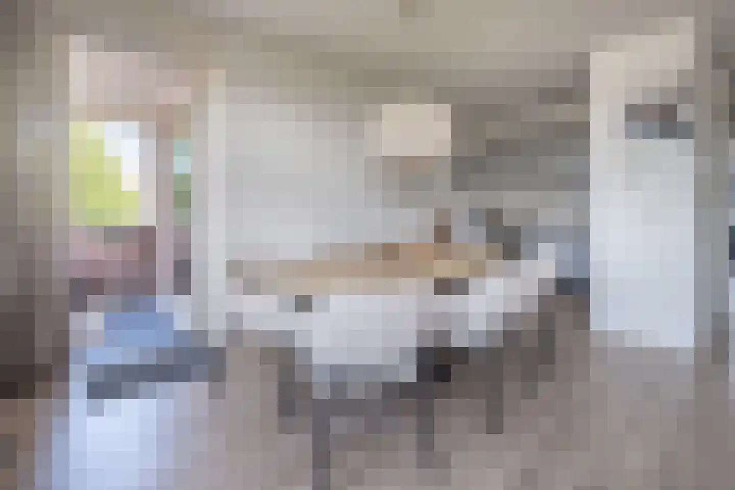 Sterappel 18 Barneveld thumbnail 12