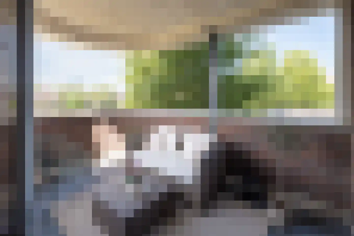 Sterappel 18 Barneveld thumbnail 13