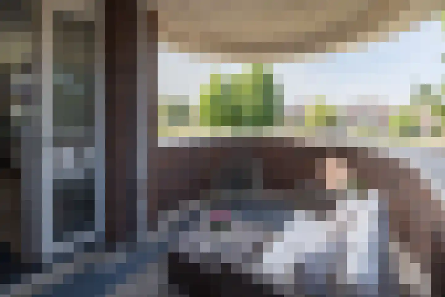 Sterappel 18 Barneveld thumbnail 14