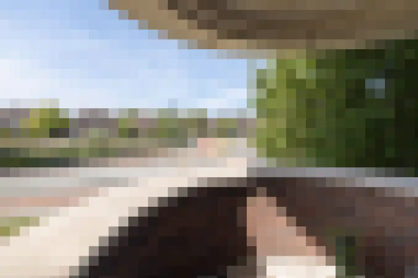 Sterappel 18 Barneveld thumbnail 17