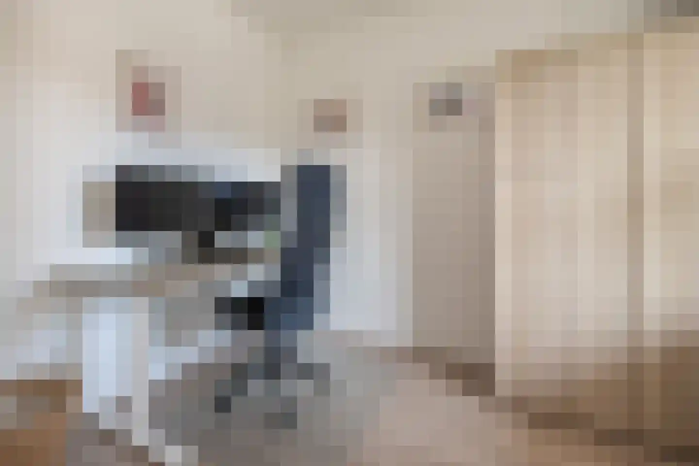 Sterappel 18 Barneveld thumbnail 21