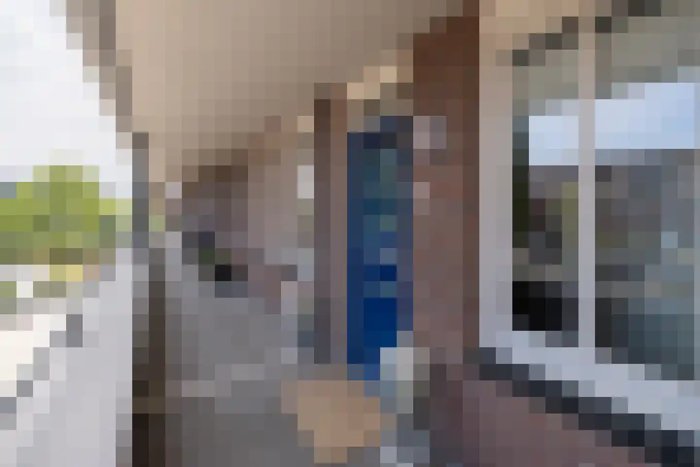 Sterappel 18 Barneveld thumbnail 31