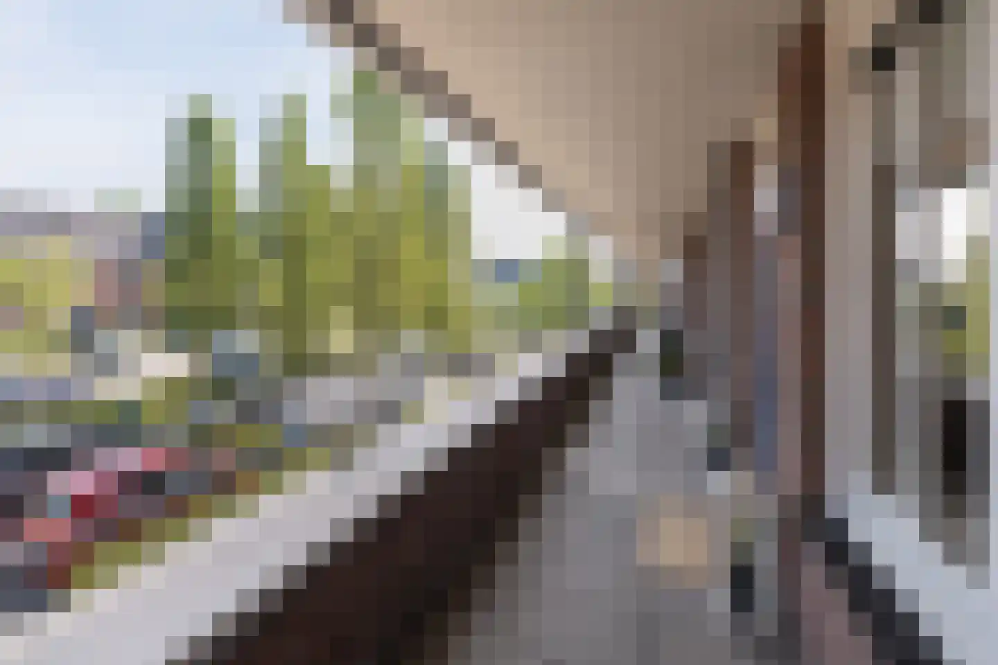 Sterappel 18 Barneveld thumbnail 33