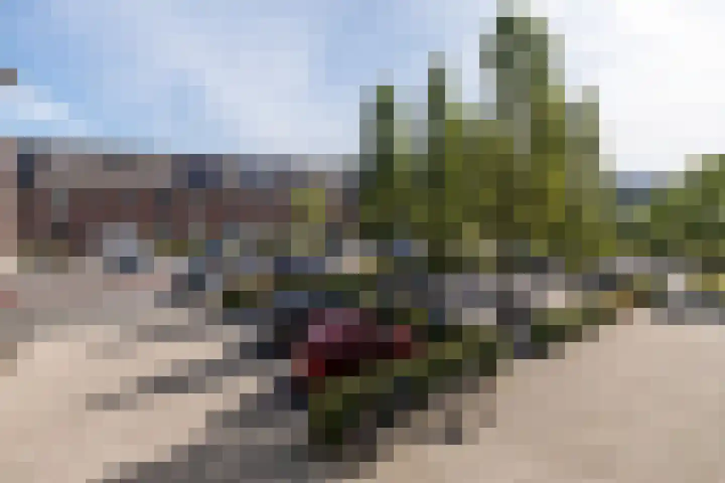 Sterappel 18 Barneveld thumbnail 34