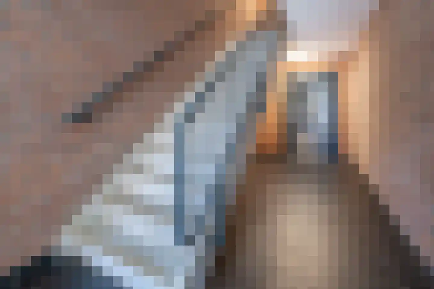 Sterappel 18 Barneveld thumbnail 35