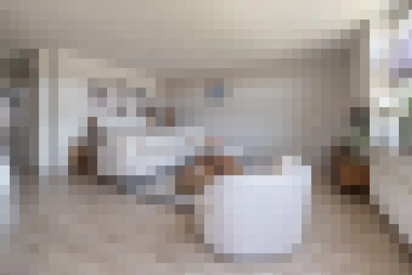 Sterappel 18 Barneveld thumbnail 4