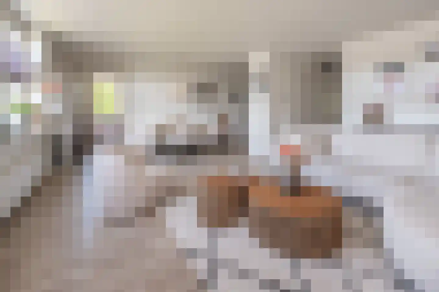 Sterappel 18 Barneveld thumbnail 5