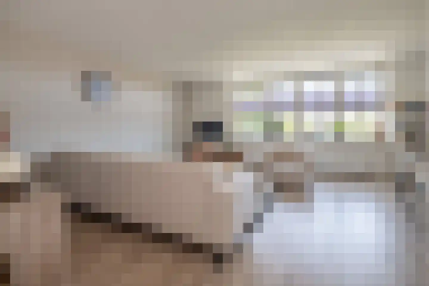 Sterappel 18 Barneveld thumbnail 7