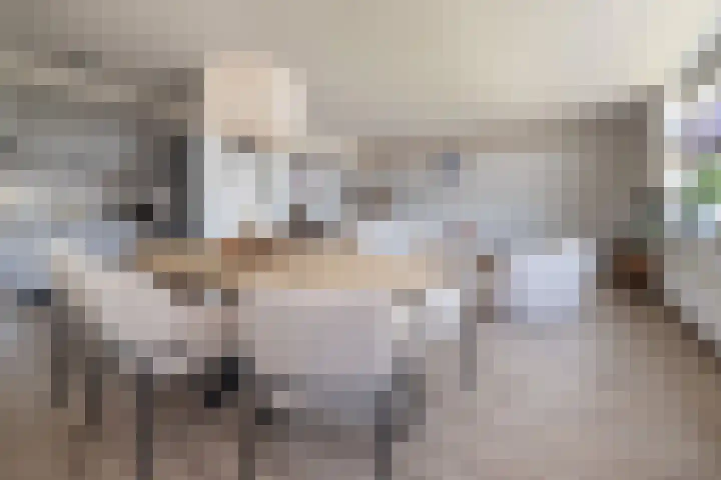 Sterappel 18 Barneveld thumbnail 8