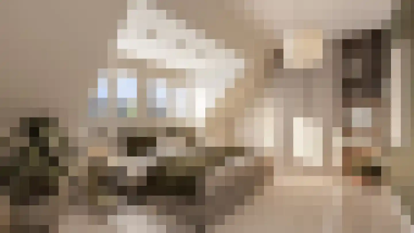 Sterappel 19 Hendrik-Ido-Ambacht thumbnail 5