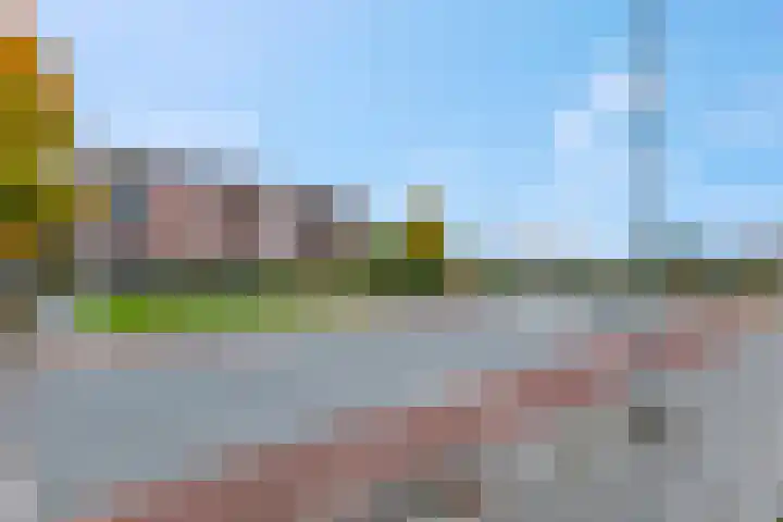 Sterappel 2 Barneveld thumbnail 10