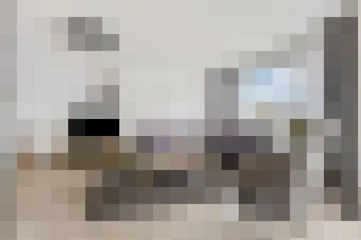 Sterappel 2 Barneveld thumbnail 18