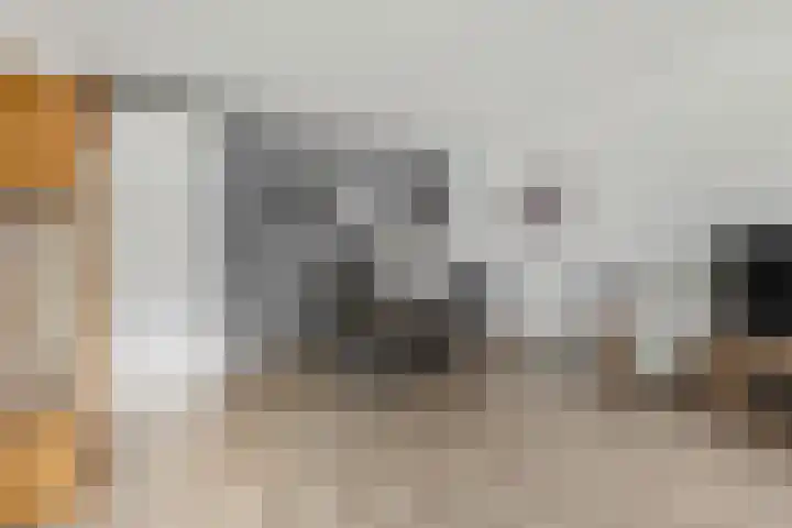 Sterappel 2 Barneveld thumbnail 21