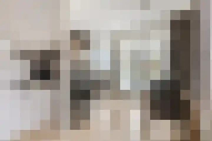 Sterappel 2 Barneveld thumbnail 23