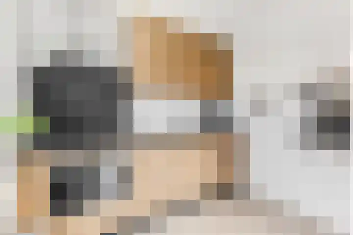 Sterappel 2 Barneveld thumbnail 25