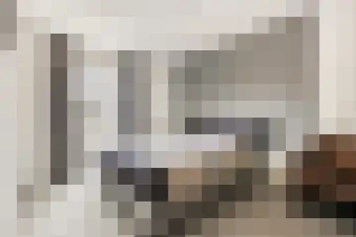 Sterappel 2 Barneveld thumbnail 26