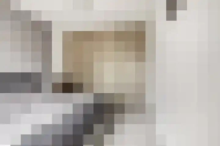 Sterappel 2 Barneveld thumbnail 28
