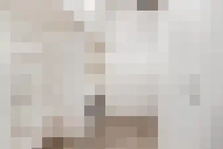 Sterappel 2 Barneveld thumbnail 34
