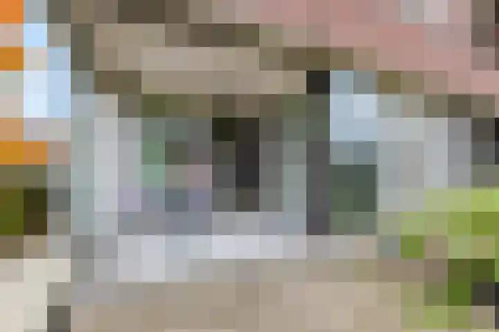 Sterappel 2 Barneveld thumbnail 37