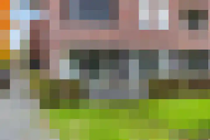 Sterappel 2 Barneveld thumbnail 38