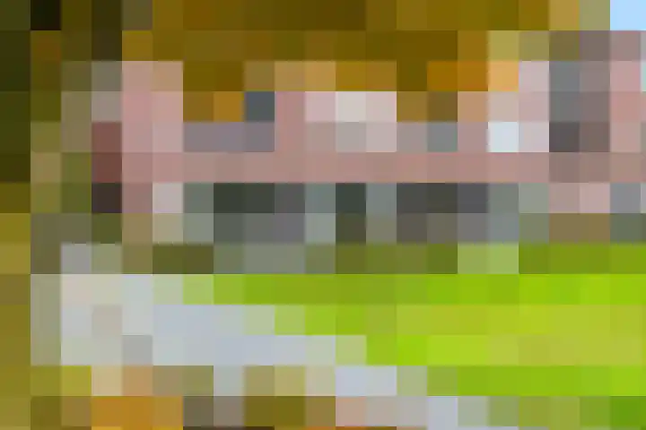 Sterappel 2 Barneveld thumbnail 39