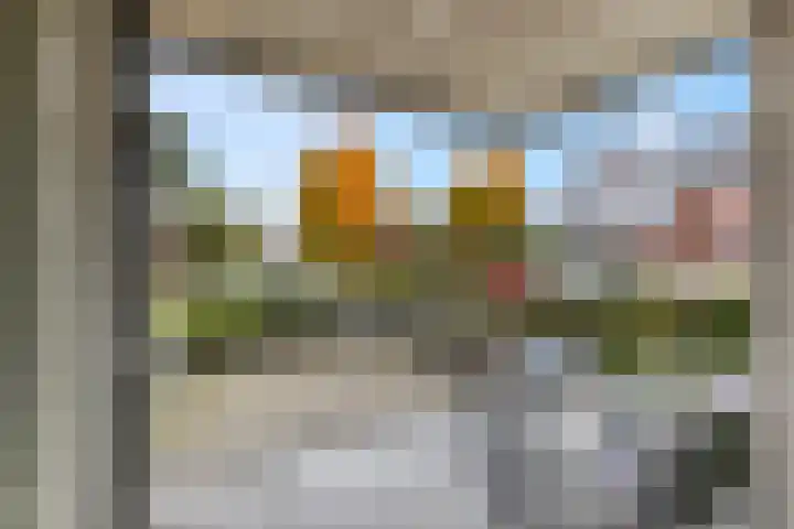 Sterappel 2 Barneveld thumbnail 4