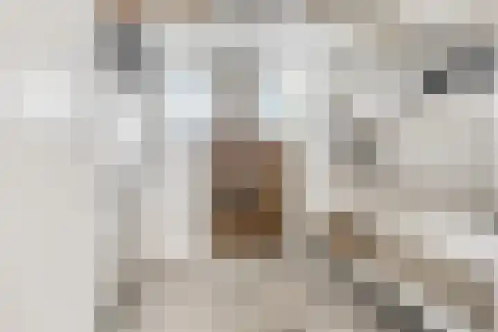 Sterappel 2 Barneveld thumbnail 40