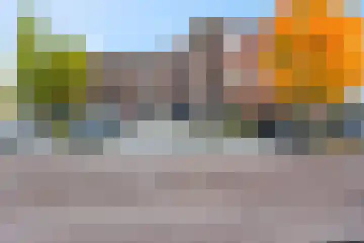 Sterappel 2 Barneveld thumbnail 41