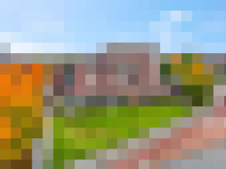 Sterappel 2 Barneveld thumbnail 43