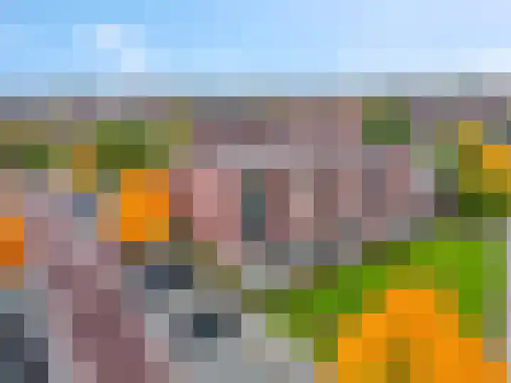 Sterappel 2 Barneveld thumbnail 44