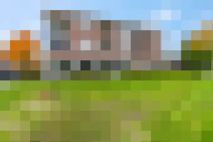 Sterappel 2 Barneveld thumbnail 6