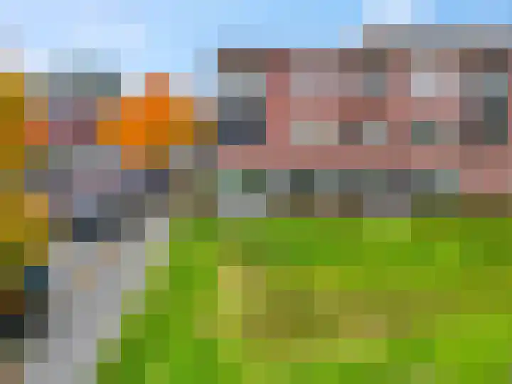 Sterappel 2 Barneveld thumbnail 7