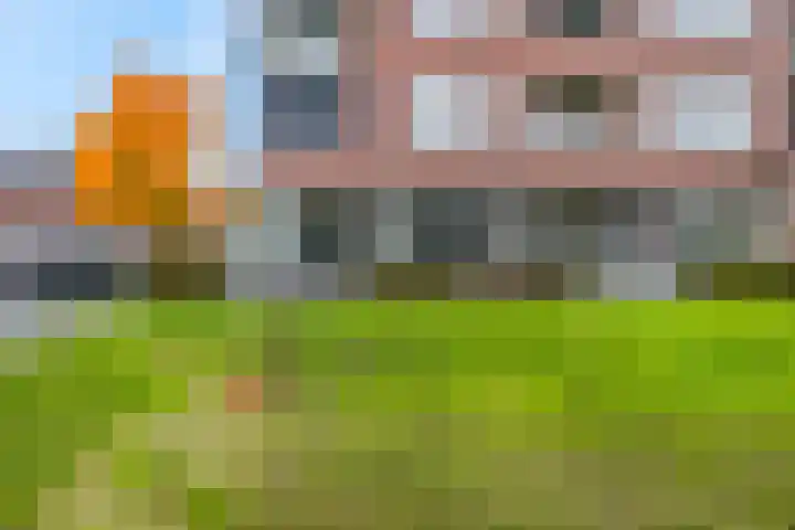 Sterappel 2 Barneveld thumbnail 8