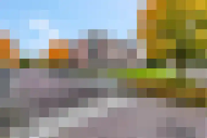 Sterappel 2 Barneveld thumbnail 9