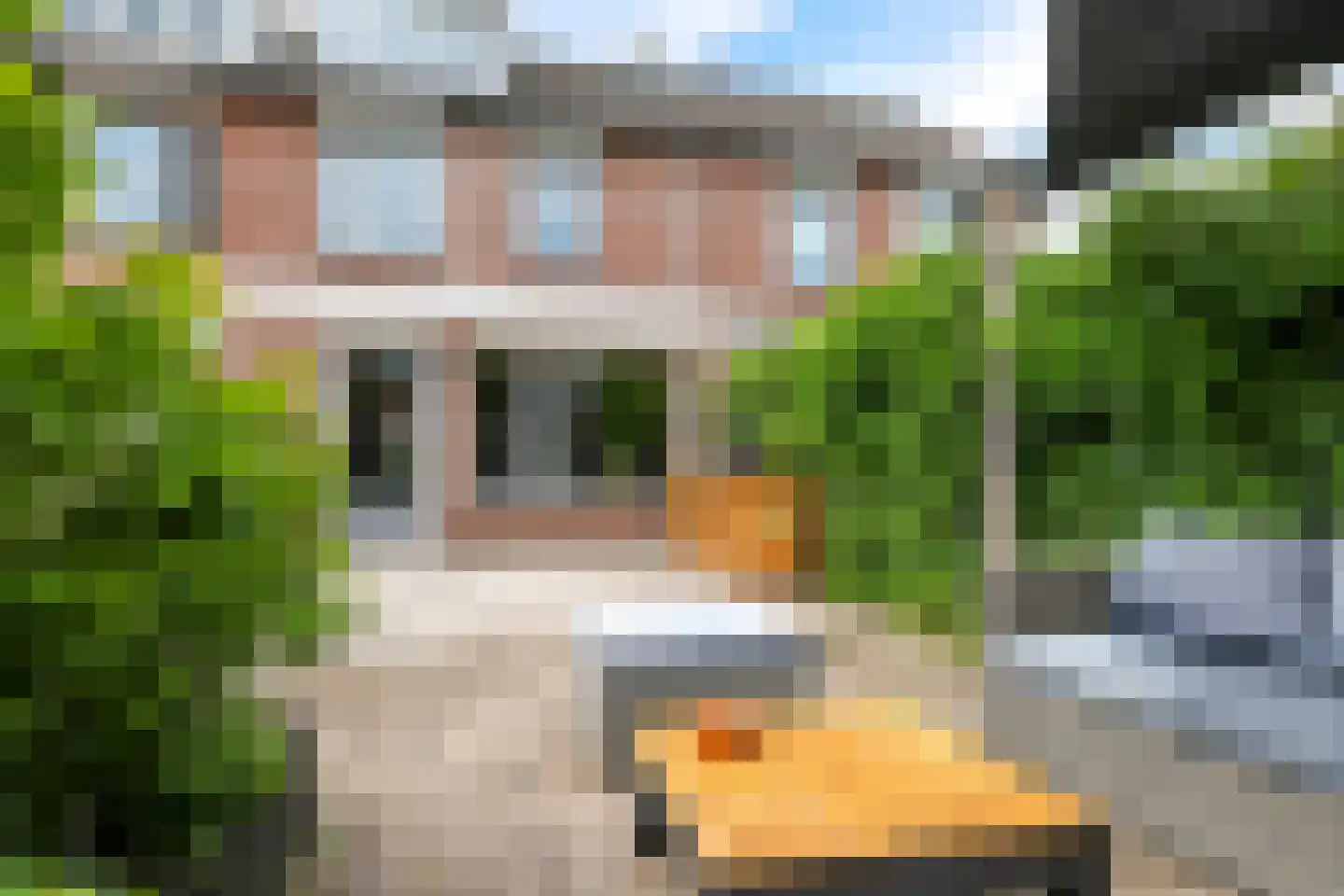 Sterappel 20 in Zetten