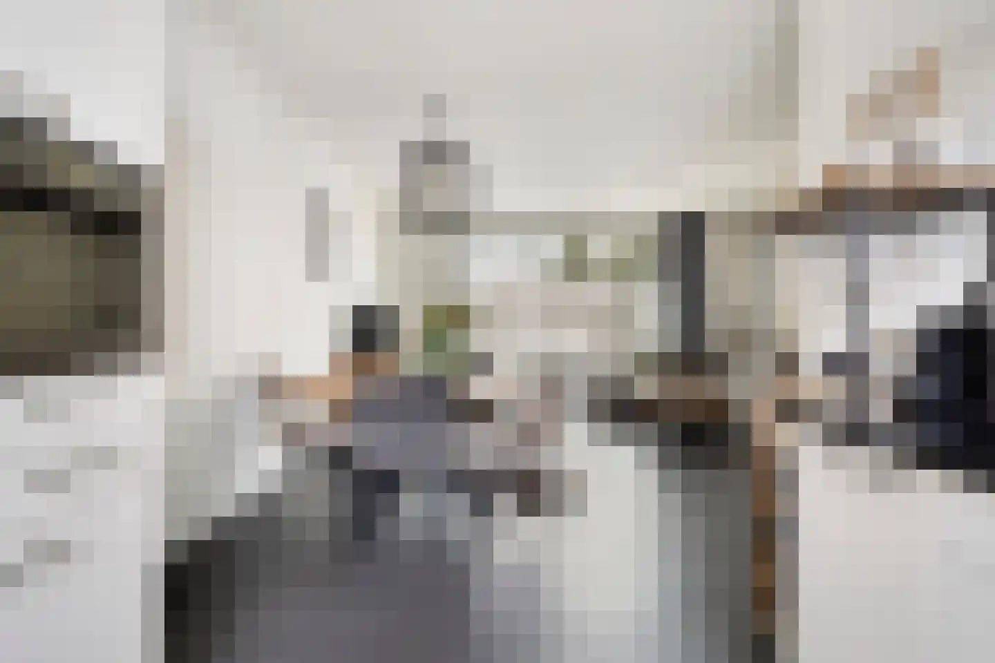 Sterappel 20 Fijnaart thumbnail 10